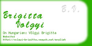 brigitta volgyi business card